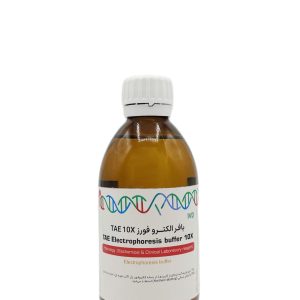 TAE Electrophoresis buffer 10 x
