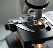 Patholoy reagent2