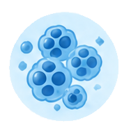 MPLECULAR